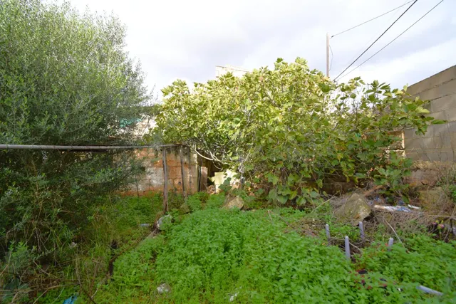Casa de pueblo para reformar con amplio jardin en Muro - foto 4