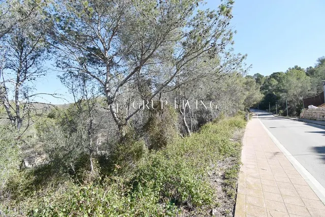 TERRENO EN MAS ALBA — 2