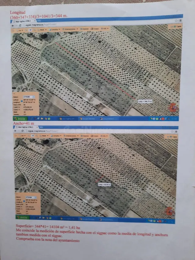 Parcela olivar en Caudete Palomares (Albacete) - foto 2
