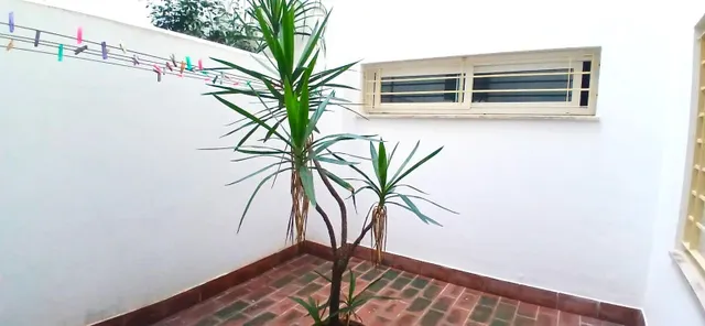 PLAYA VICTORIA - CÁDIZ - ¡ CON 3 habitaciones, GARAJE Y TRAS - foto 3