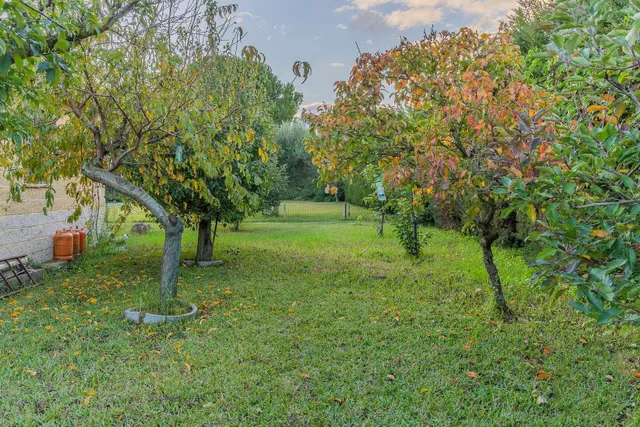 Finca Rural — 8