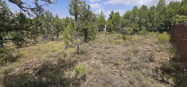 Solar residencial en Venta en Duruelo Segovia — 7