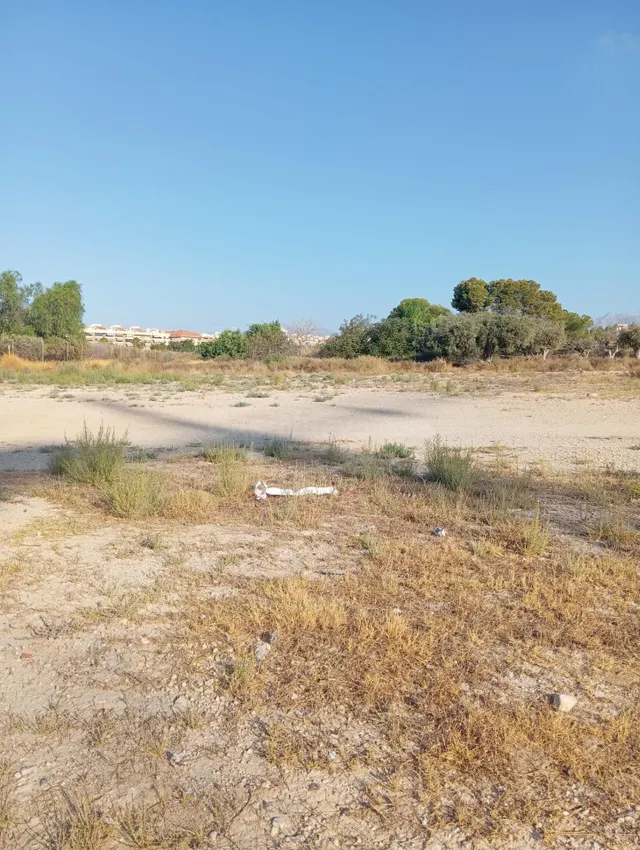 Terreno rural cultivable cerca del pueblo de Mutxamel — 3