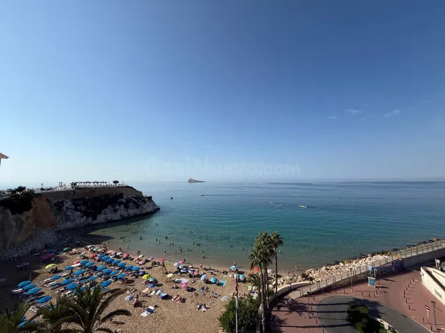 Oportunidad Piso único en Benidorm con 3 dormitorios en prim - foto 4