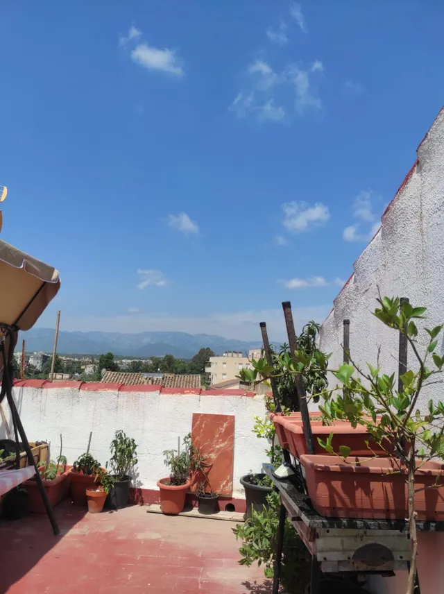 Casa/Chalet independiente en Sant Jaume - Tortosa — 39