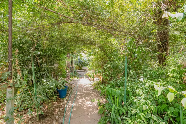 El jardín que siempre soñaste, ahora en Granada capital. — 7