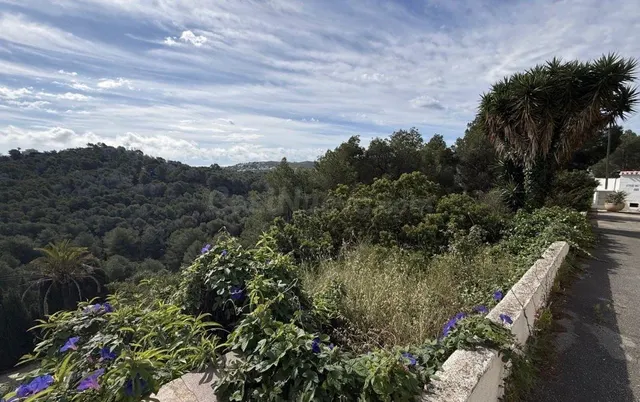 Parcela exclusiva en Jávea con vistas al mar y ubicación pri - foto 3
