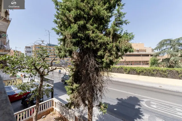 !!ESPECTACULAR PARCELA CON VIVIENDA JUNTO LA HÍPICA!! — 15