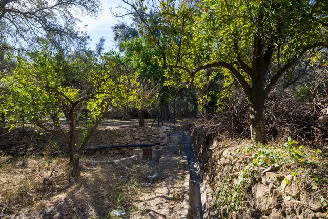FINCA RUSTICA EN LA VEGUETA, PINOS DEL VALLE!! — 10