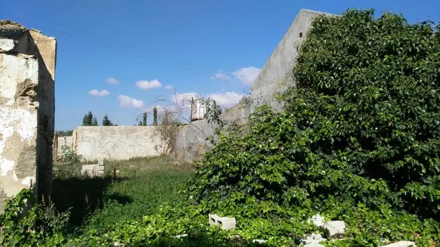 Casa de campo con 4.070m2 de terreno y 88 m2 de vivienda — 2