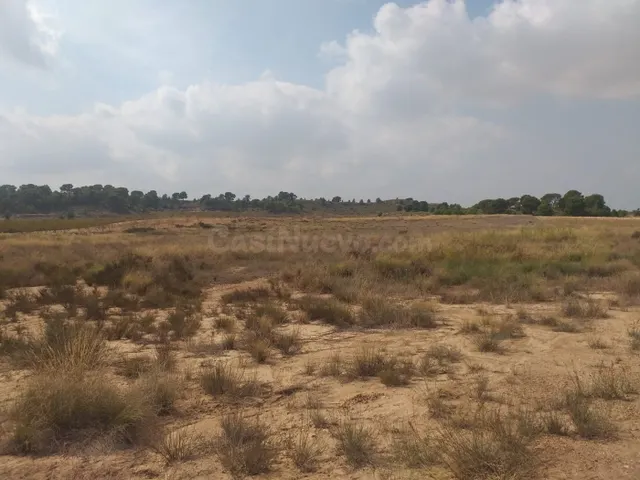 SE VENDE PARCELA EN JUMILLA - foto 2