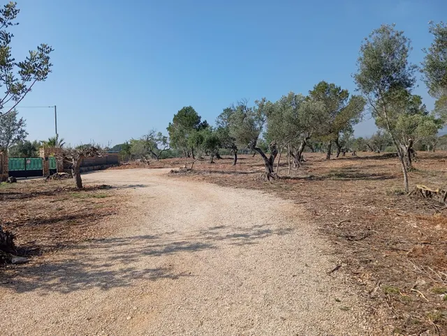 Oportunidad Única en L'Ampolla: Finca Rústica de 12,182 m2 - foto 5