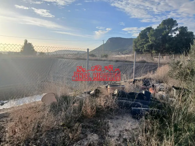 ¡¡ OCASIÓN INVERNADERO EN ASPE !! — 21