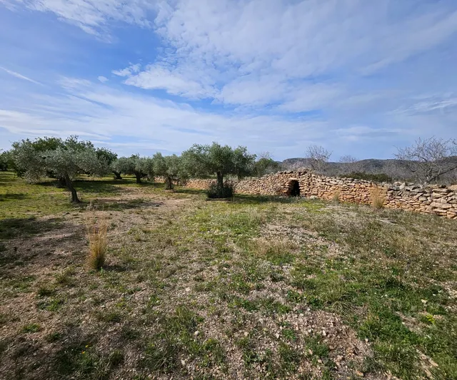 Finca Rústica de 6,5 hectáreas, plana, con casa de campo de 150 M2 — 24
