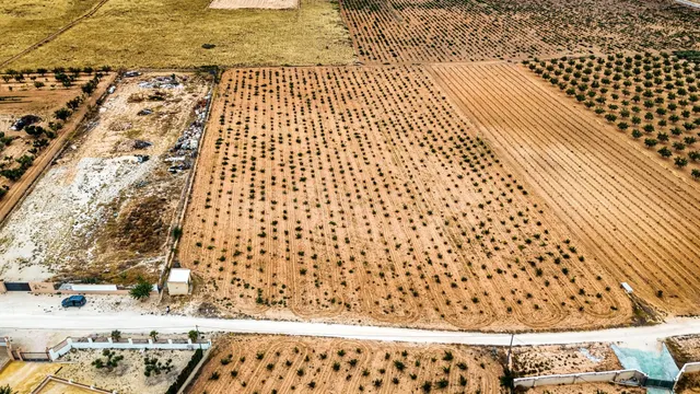 Terreno en Pinoso - foto 5