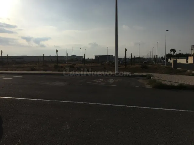 PARCELA URBANIZADA ZONA INDUSTIAL ELCHE - foto 3