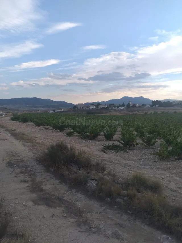 SE VENDE PARCELA EN JUMILLA - foto 3