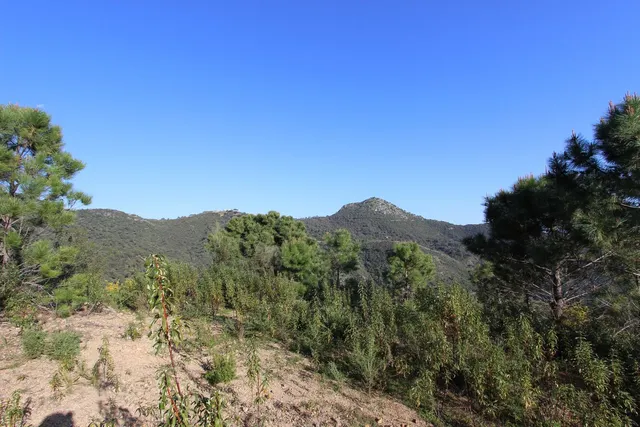 Parcela exclusiva con vistas al Mediterráneo en Benahavís — 23