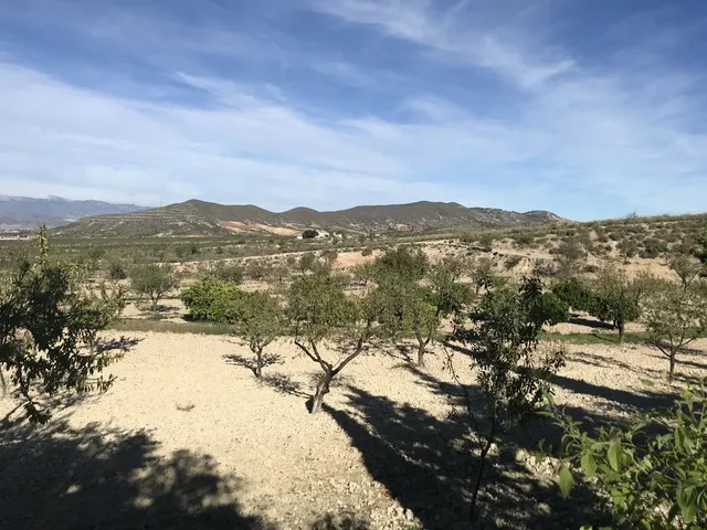 Finca rústica 4 habitaciones 278m² en venta - La Hoya-Almendricos-Purias — 12