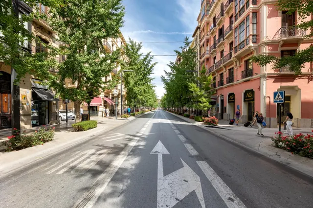 EXCLUSIVA ULTIMA PLANTA CON VISTAS EN GRAN VIA — 2