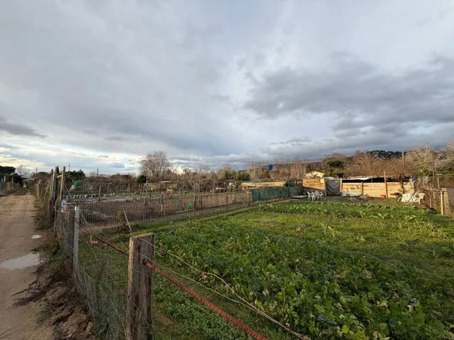 Huertos rentables en explotación | 22.000 € anuales de ingre - foto 3