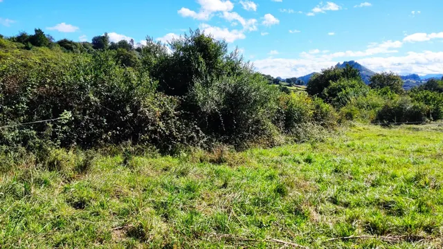 Construye tu hogar en el corazón de la naturaleza — 12
