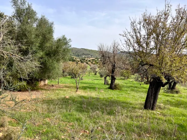 Finca rústica Campanet — 10