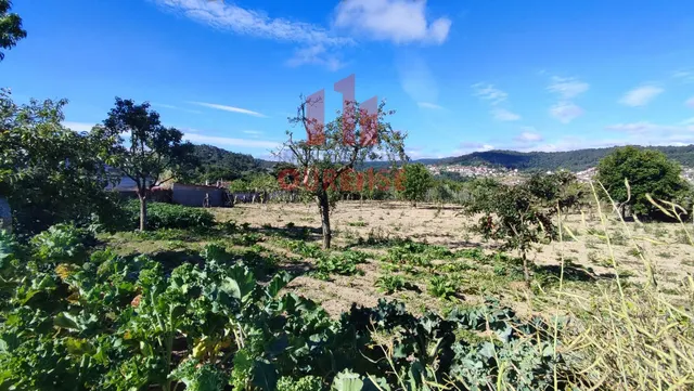 FINCA DE MÁS DE TRES MIL METROS CUADRADOS EN SAN CIBRAO DAS VIÑAS. — 5