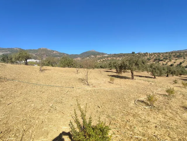 Parcela en venta - South of spain — 8