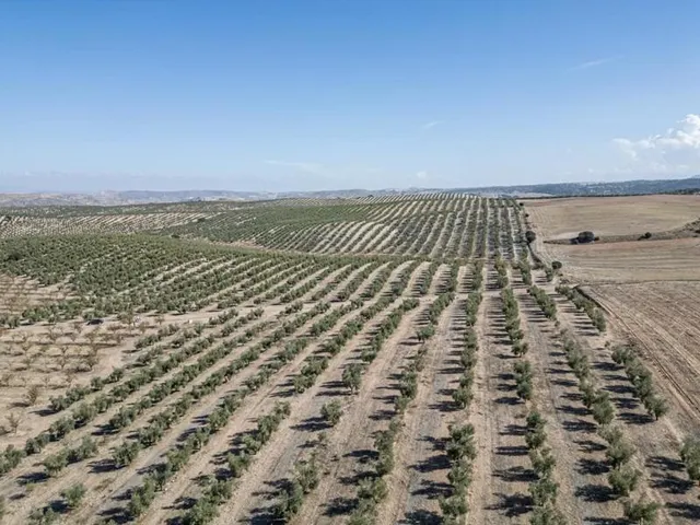 IMPRESIONANTE OPORTUNIDAD DE INVERSIÓN EN ALAMEDILLA!! — 22