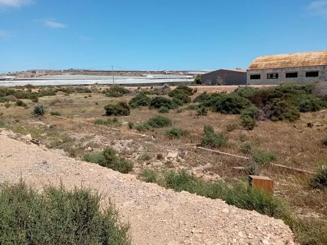 TERRENO URBANIZABLE EN BALERMA — 5