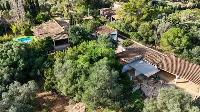 FINCA RUSTICA CON PISCINA EN INCA — 43