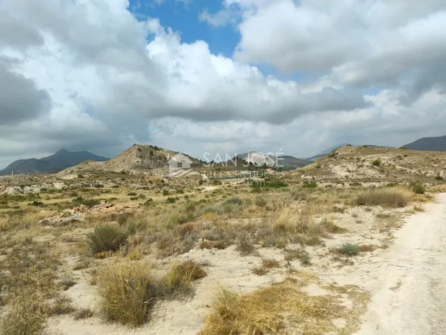 SE VENDE PARCELA GRANDE EN ASPE ZONA DE BORISA — 3