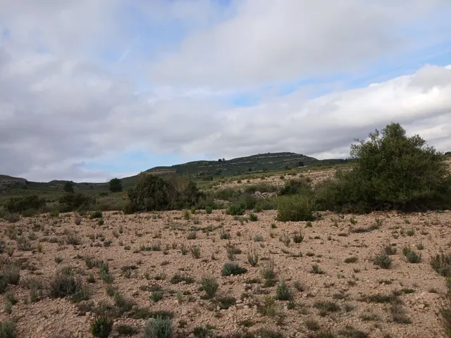 Parcela en venta - Yecla — 7