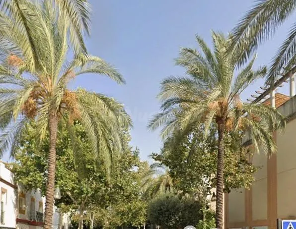 LOCAL COMERCIAL EN ALCALA DE GUADAIRA