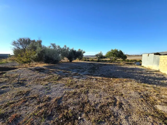 Parcela segregada de 2.235 m/2  en el marquesado con cuarto de aperos y pozo – Chiclana de la Frontera — 6