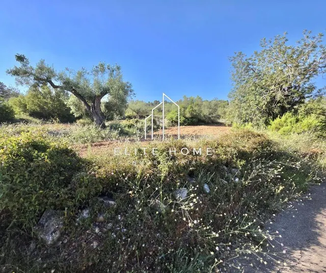 EXCLUSIVA PARCELA DE 17.000M2 EN SAN JORDI - foto 2
