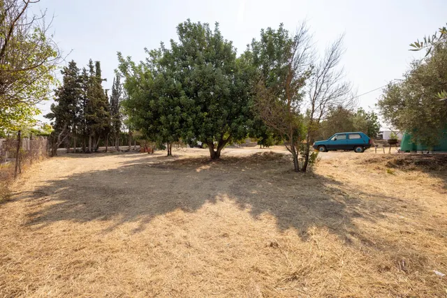 Encanto rústico con casita y olivos en Moraleja de Zafayona — 24