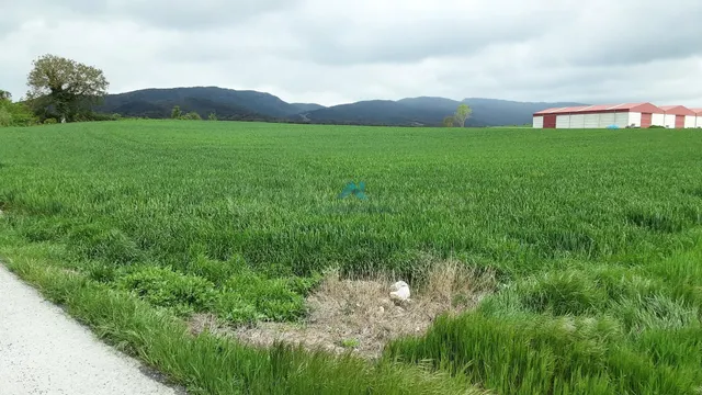 Se vende terreno industrial en La Puebla de Arganzón - foto 4