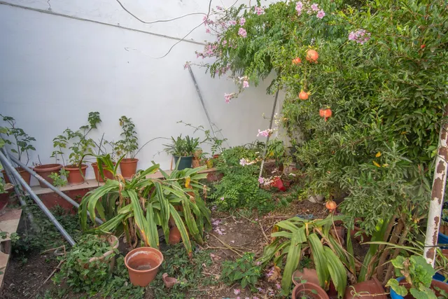 Casa independiente con jardín, patio y azotea en San Fernando — 32