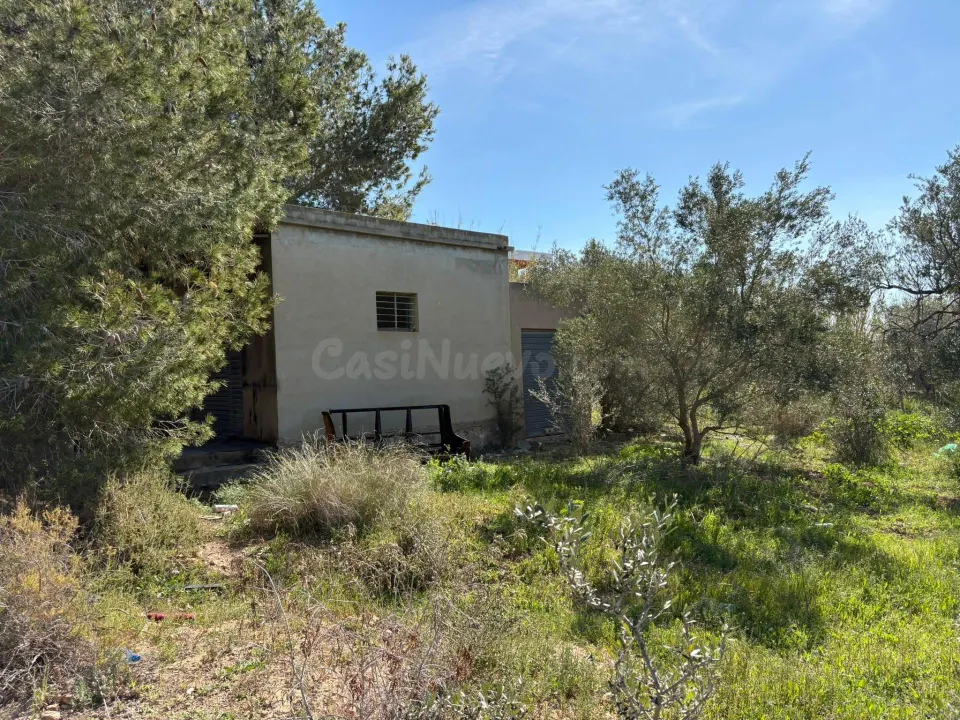 Se vende parcela de 3.000 metros cuadrados con una casa/almacén de 26 metros cuadrados junto a la Ronda Sur de El Altet!!!!