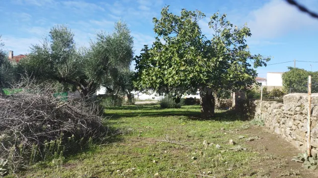 Estupenda parcela urbana en el centro de Aldea del Cano - foto 2