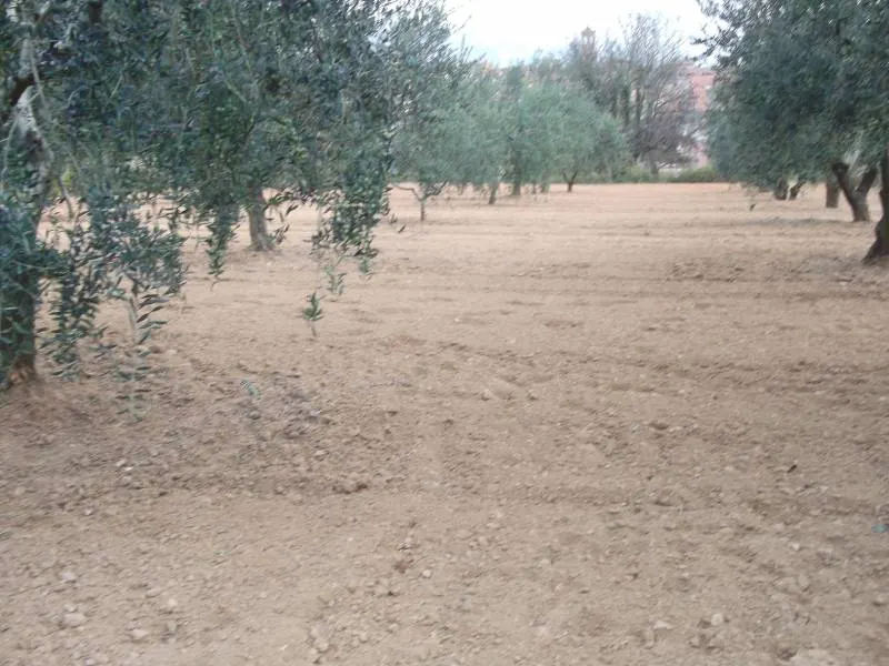 SOLAR EN LA MEJOR ZONA (HOSTALETS DE PIEROLA-ANOIA BARCELONA)
