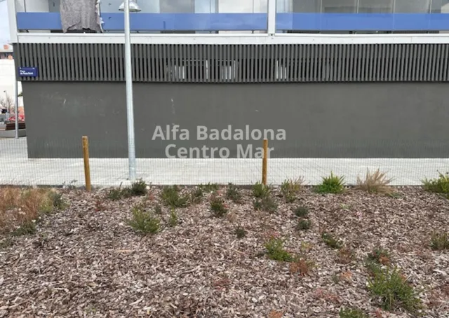 Local de Obra Nueva en Zona de Expansión - Gorg, Badalona — 15