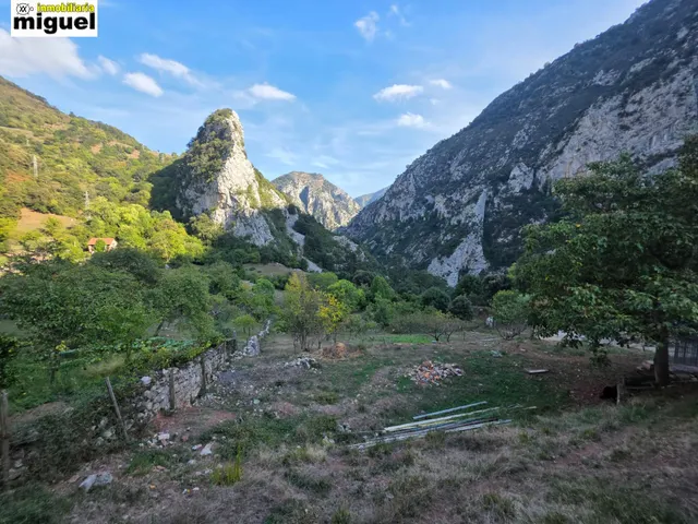 Oportunidad de Inversión en Peñarrubia - Picos de Europa — 12