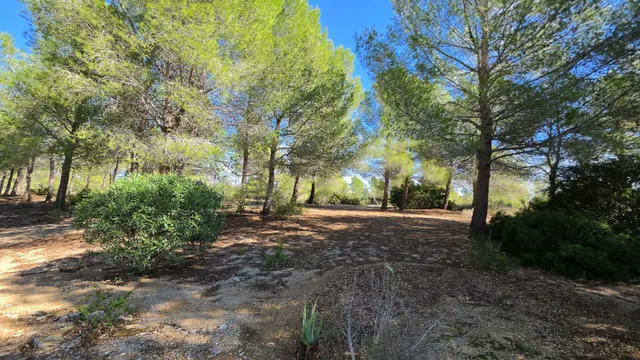 Chalet con piscina, gran parcela y licencia turística — 37
