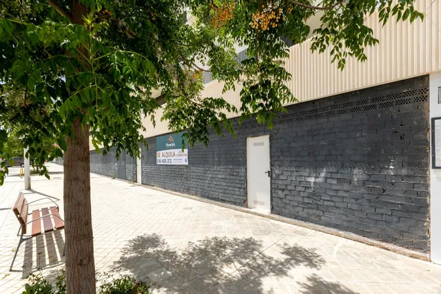 ESPECTACULAR LOCAL COMERCIAL EN GRANADA — 5