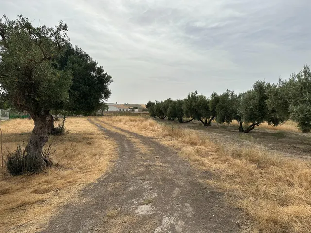 VENTA DE SOLAR INDUSTRIAL EN CHIMENEAS — 20