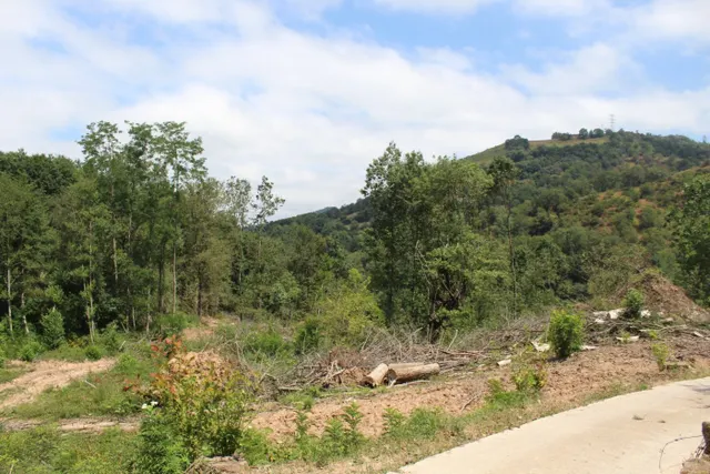 CASERIO CON TERRENO EN SUMBILLA — 17