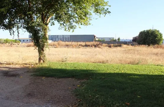 Parcela 500m² en venta - La Paz - Montecarmelo - foto 5